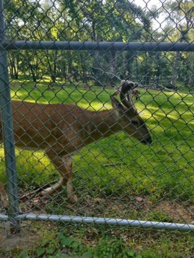 Thompson Park - Monroe Township, NJ