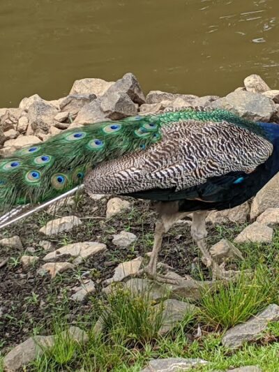 Thompson Park - Monroe Township, NJ