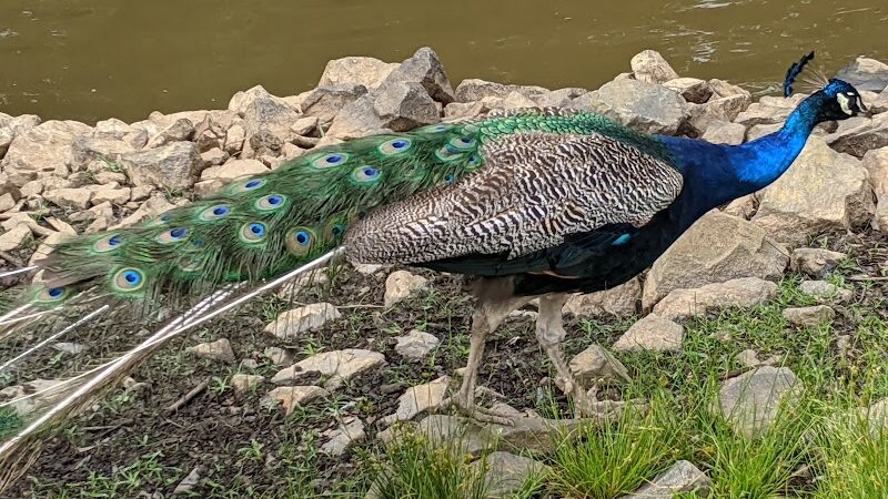 Thompson Park - Monroe Township, NJ
