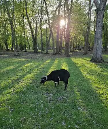 Thompson Park - Monroe Township, NJ