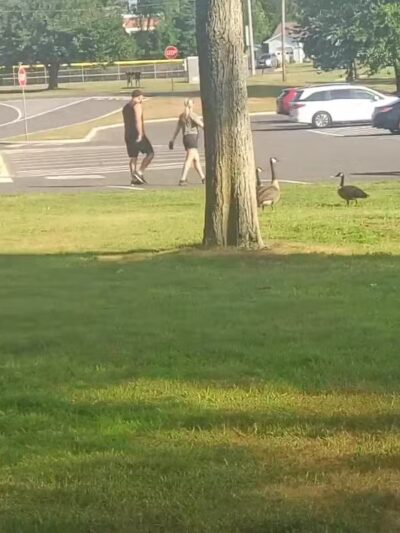 Thompson Park - Monroe Township, NJ