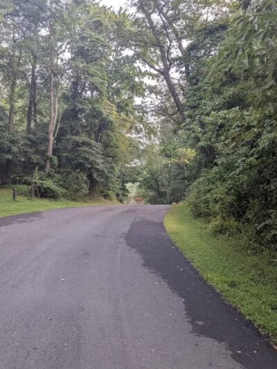 Thompson Park - Monroe Township, NJ