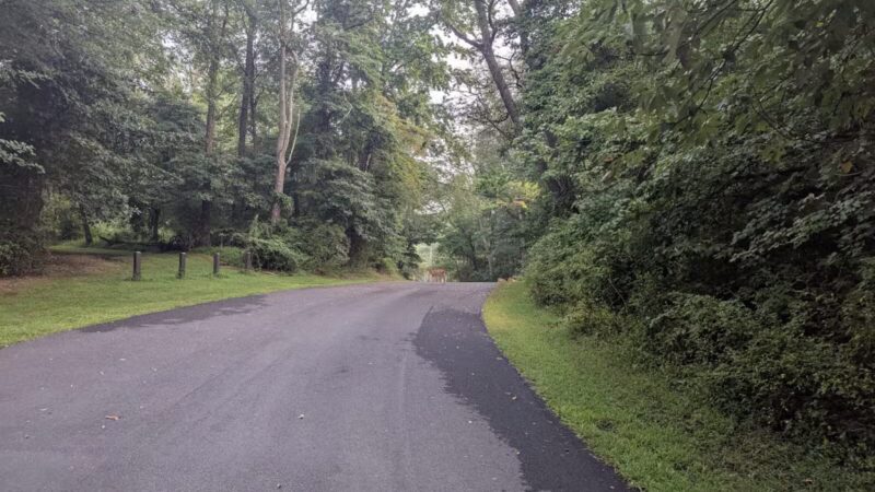 Thompson Park - Monroe Township, NJ