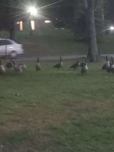 Thompson Park - Monroe Township, NJ