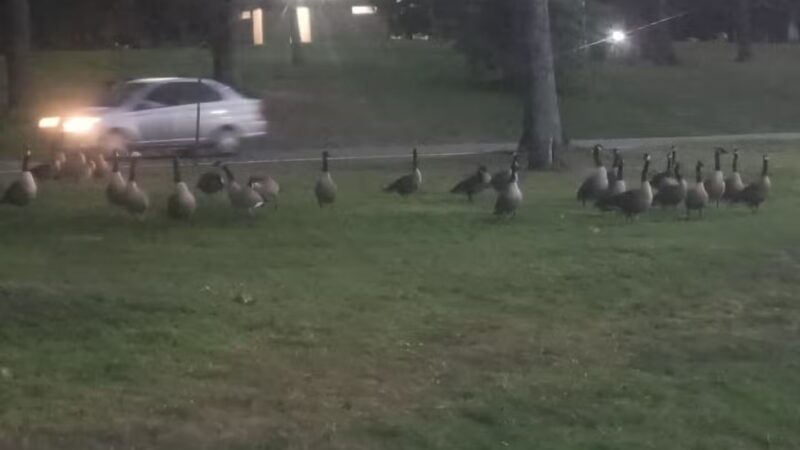 Thompson Park - Monroe Township, NJ
