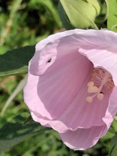 Thompson Park - Monroe Township, NJ