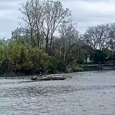 Veteran's Park - Monroe,