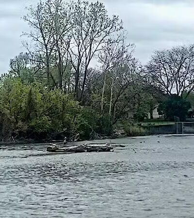 Veteran's Park - Monroe,