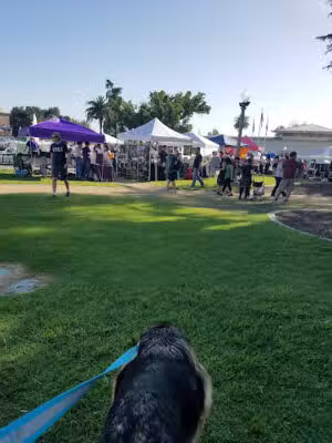 Library Park - Monrovia, CA