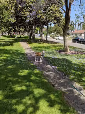 Lucinda Garcia Park - Monrovia, CA