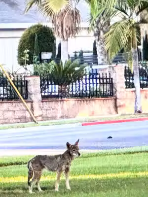 Recreation Park - Monrovia, CA