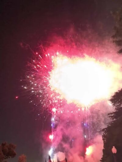 Library Park - Monrovia, CA