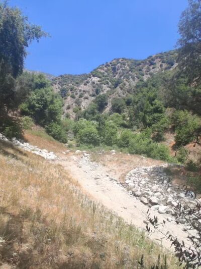 Monrovia Canyon Park - Monrovia, CA