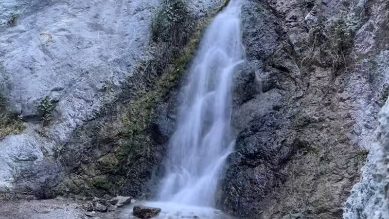 Monrovia Canyon Park - Monrovia, CA