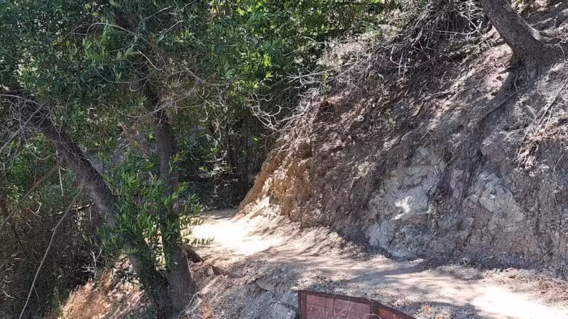 Monrovia Canyon Park - Monrovia, CA