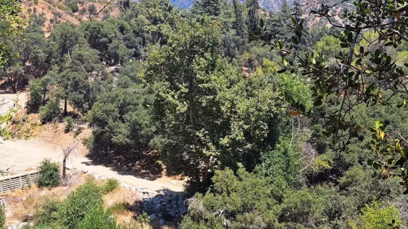 Monrovia Canyon Park - Monrovia, CA