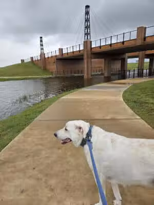Hackberry Dog Park - Mont Belvieu, TX