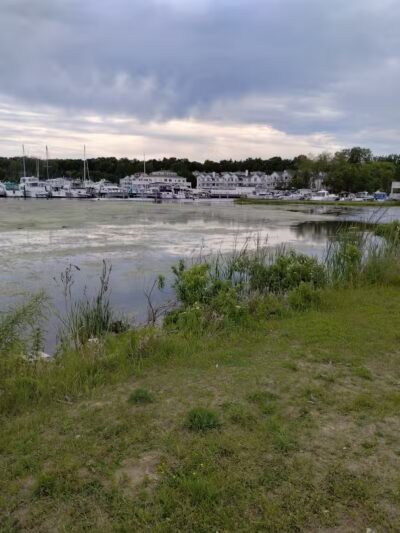 Montague Township Park - Montague,