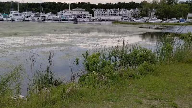 Montague Township Park - Montague,