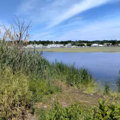 Montague Township Park - Montague,