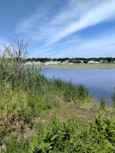 Montague Township Park - Montague,