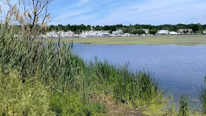 Montague Township Park - Montague,