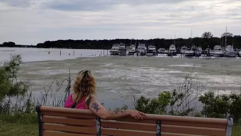 Montague Township Park - Montague,