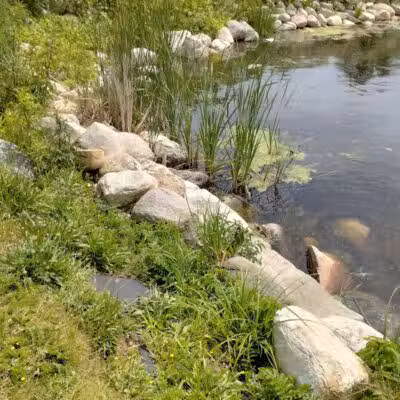 Montague Township Park - Montague,