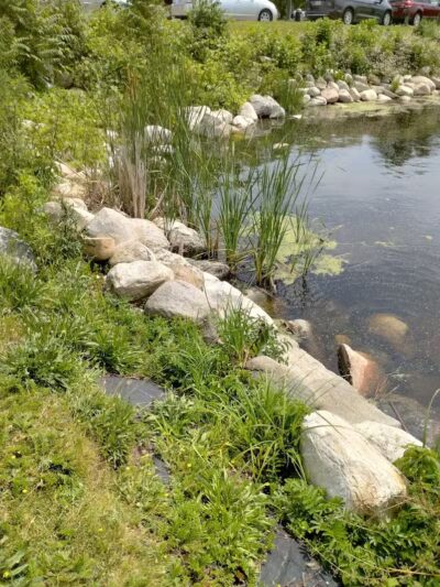 Montague Township Park - Montague,