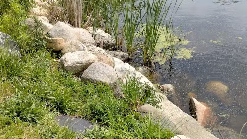 Montague Township Park - Montague,