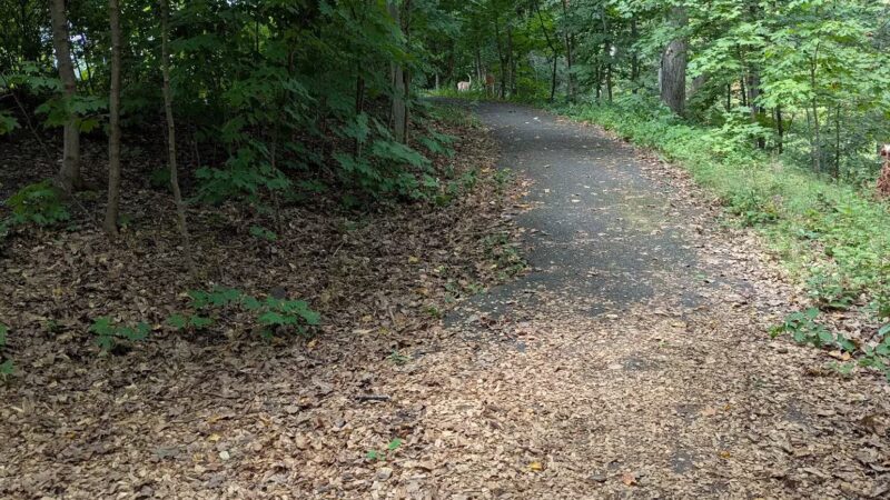 Glenfield Park - Montclair, NJ