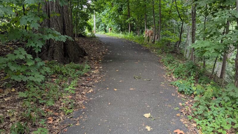 Glenfield Park - Montclair, NJ