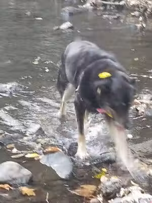 Glenfield Park - Montclair, NJ