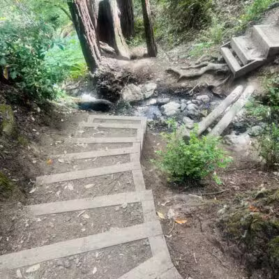 Monte Rio Redwoods Trailhead - Monte Rio, CA