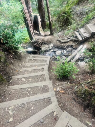 Monte Rio Redwoods Trailhead - Monte Rio, CA
