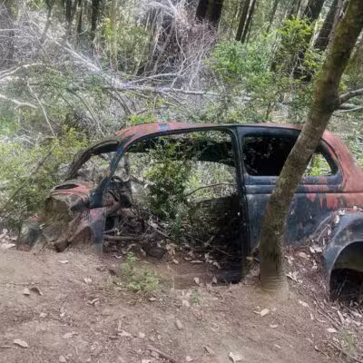 Monte Rio Redwoods Trailhead - Monte Rio, CA