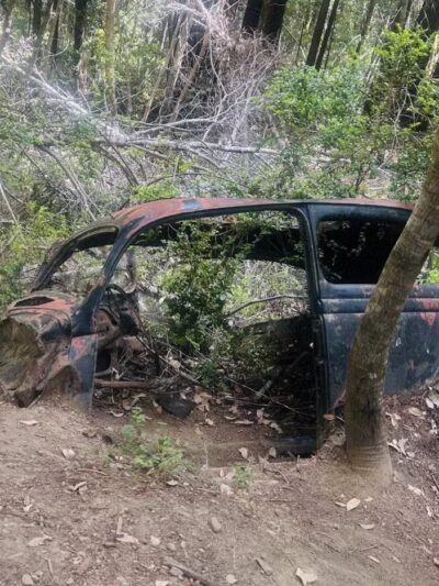 Monte Rio Redwoods Trailhead - Monte Rio, CA
