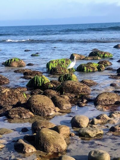 Butterfly Beach - Montecito, CA