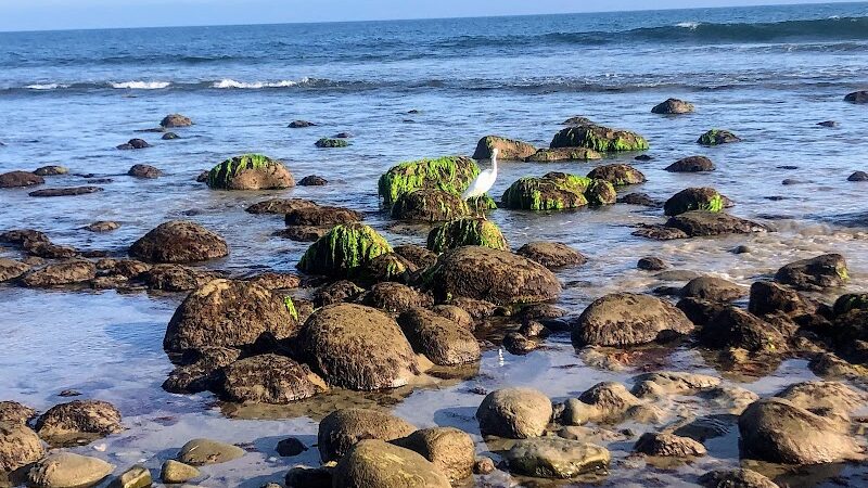 Butterfly Beach - Montecito, CA