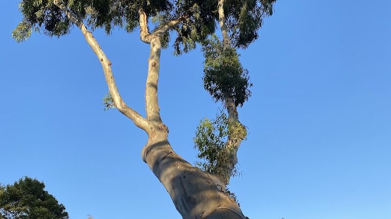 Butterfly Beach - Montecito, CA