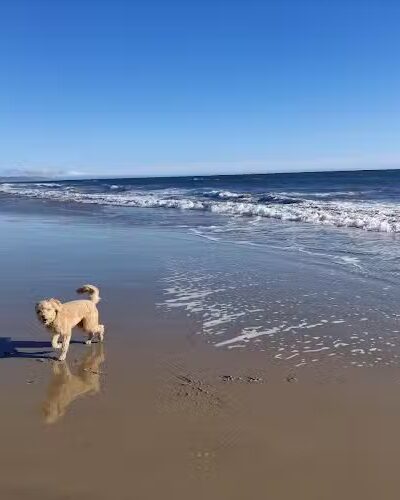 Butterfly Beach - Montecito, CA
