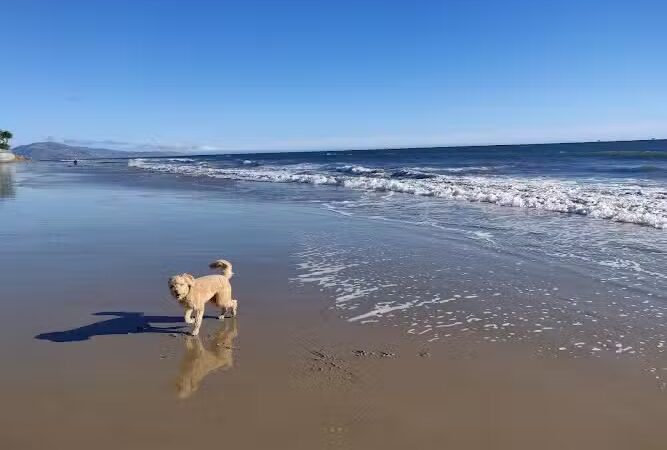 Butterfly Beach - Montecito, CA