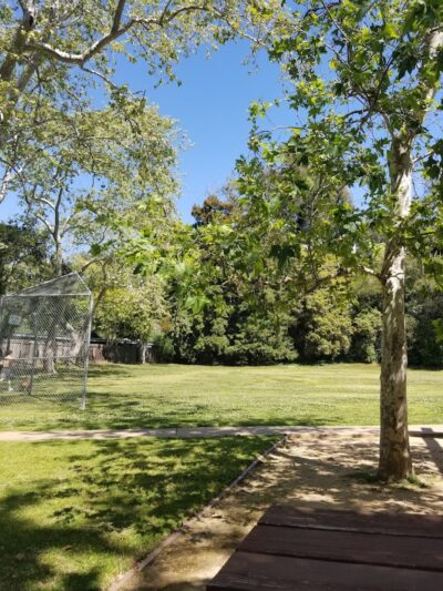 Manning Park - Area 2 - Montecito, CA