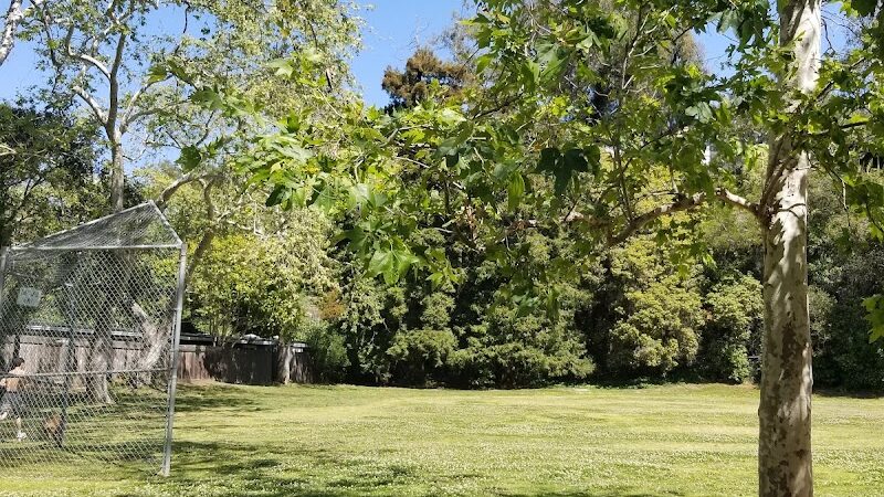 Manning Park - Area 2 - Montecito, CA