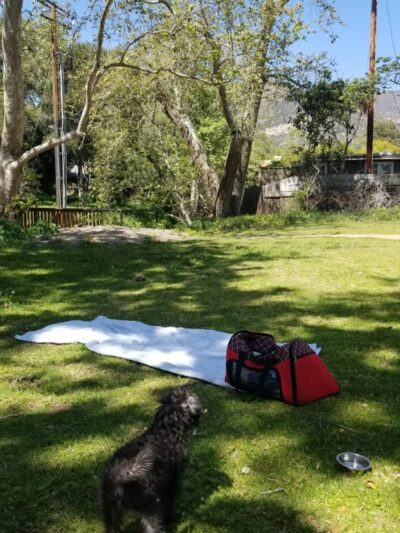 Manning Park - Area 2 - Montecito, CA