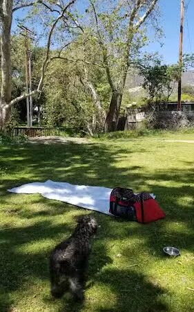 Manning Park - Area 2 - Montecito, CA