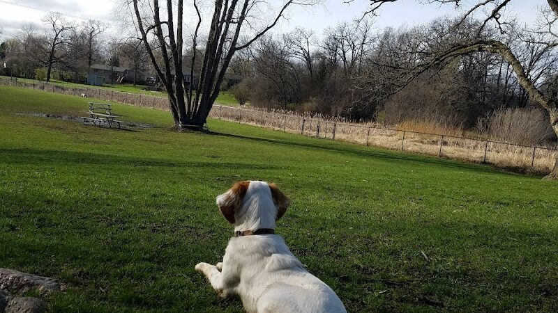 Monticello Dog Park - Monticello, MN