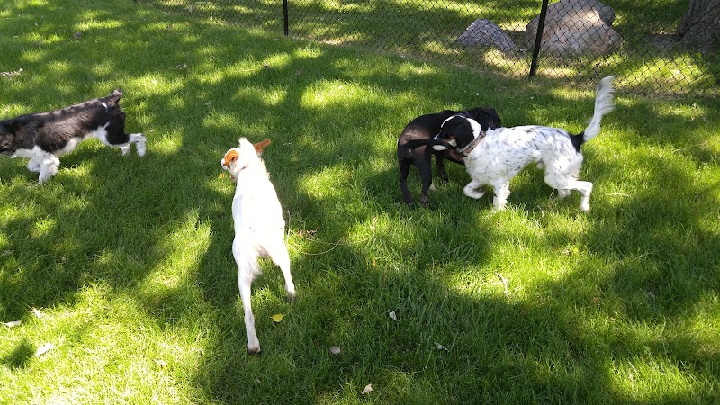 Monticello Dog Park - Monticello, MN