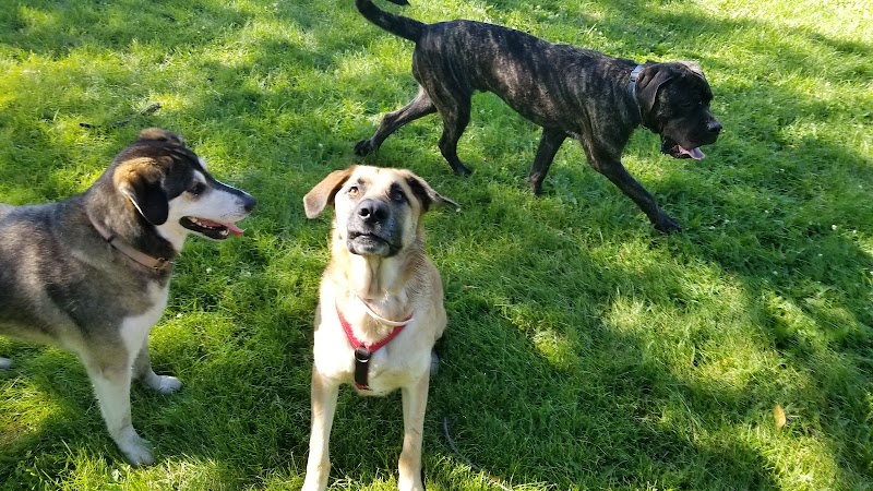 Monticello Dog Park - Monticello, MN