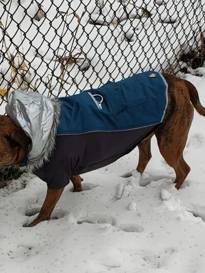 Monticello Dog Park - Monticello, MN